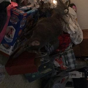 Meet your Posher, Jared